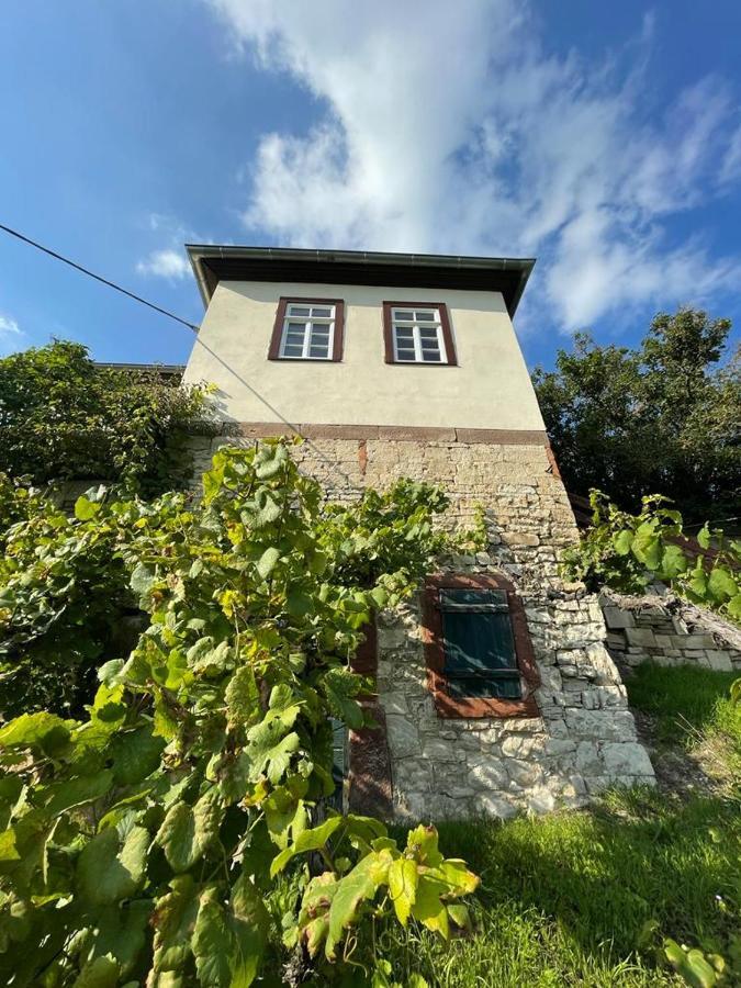 פרייבורג Ferienhaus Traminer Im Weinberg מראה חיצוני תמונה