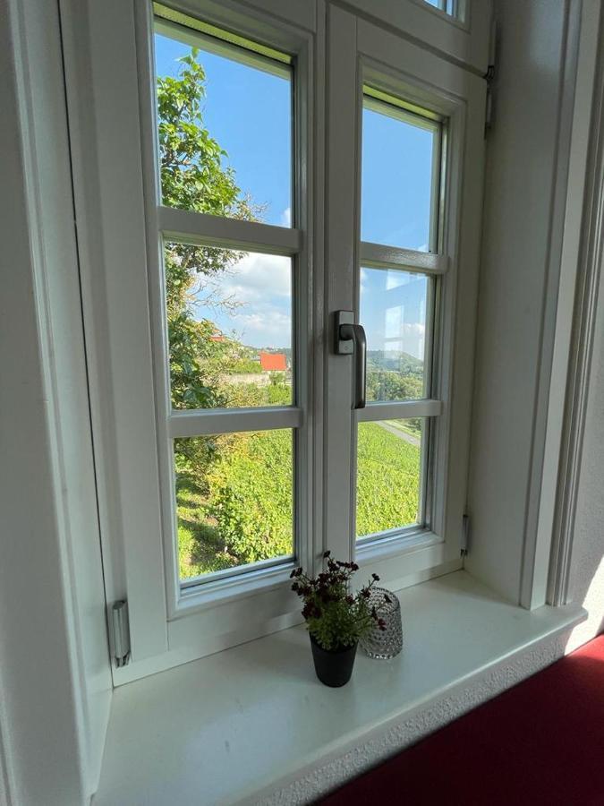 פרייבורג Ferienhaus Traminer Im Weinberg מראה חיצוני תמונה