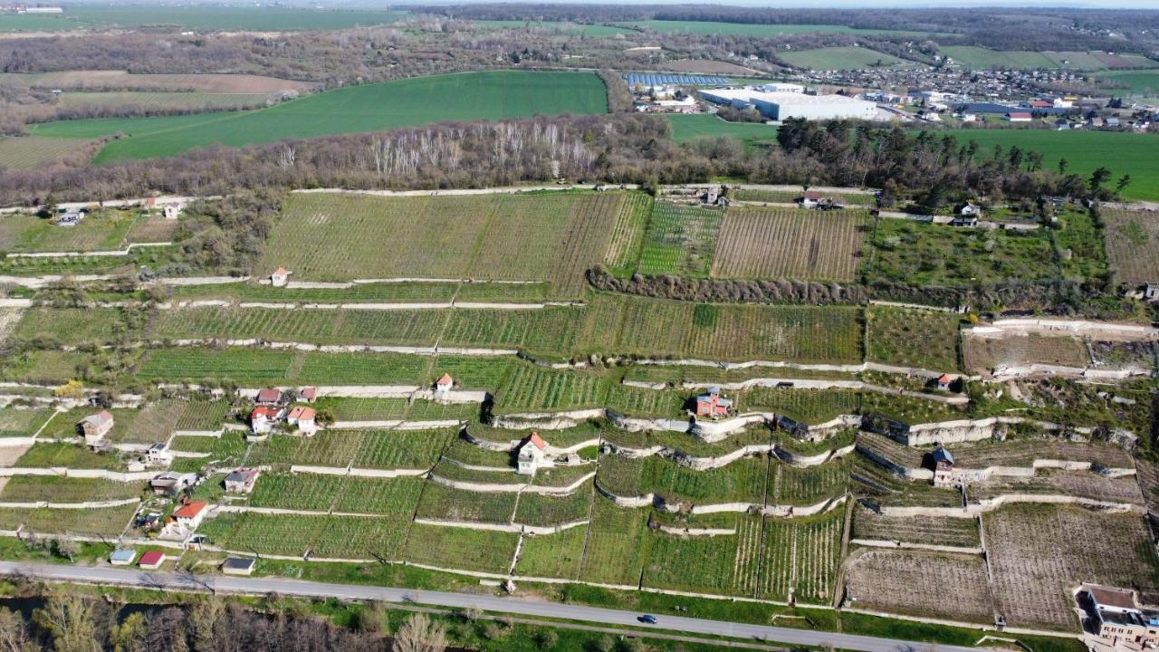 פרייבורג Ferienhaus Traminer Im Weinberg מראה חיצוני תמונה