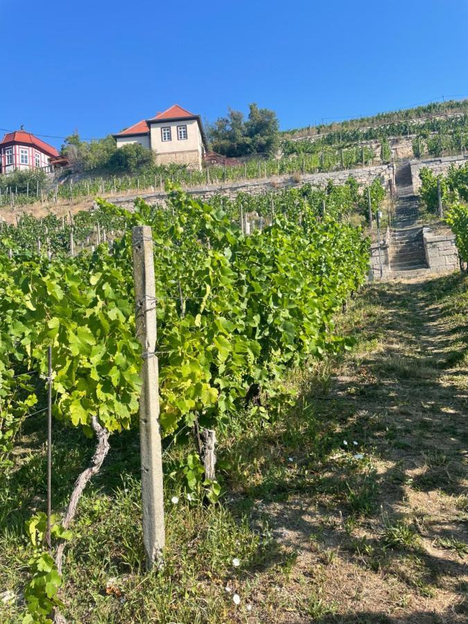 פרייבורג Ferienhaus Traminer Im Weinberg מראה חיצוני תמונה