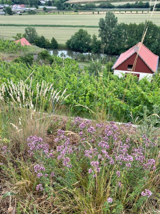 פרייבורג Ferienhaus Traminer Im Weinberg מראה חיצוני תמונה