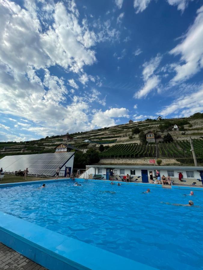 פרייבורג Ferienhaus Traminer Im Weinberg מראה חיצוני תמונה